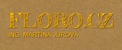 Floro