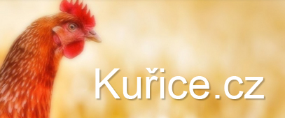 Kuřice.cz